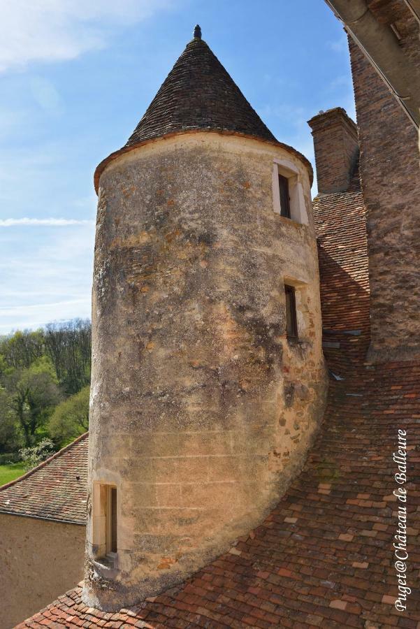 Chateau De Balleure Etrigny Exterior photo